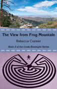 The View from Frog Mountain cover image
